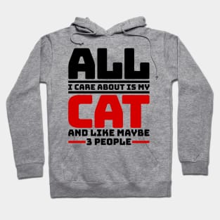 All I care about is my cat and like maybe 3 people Hoodie